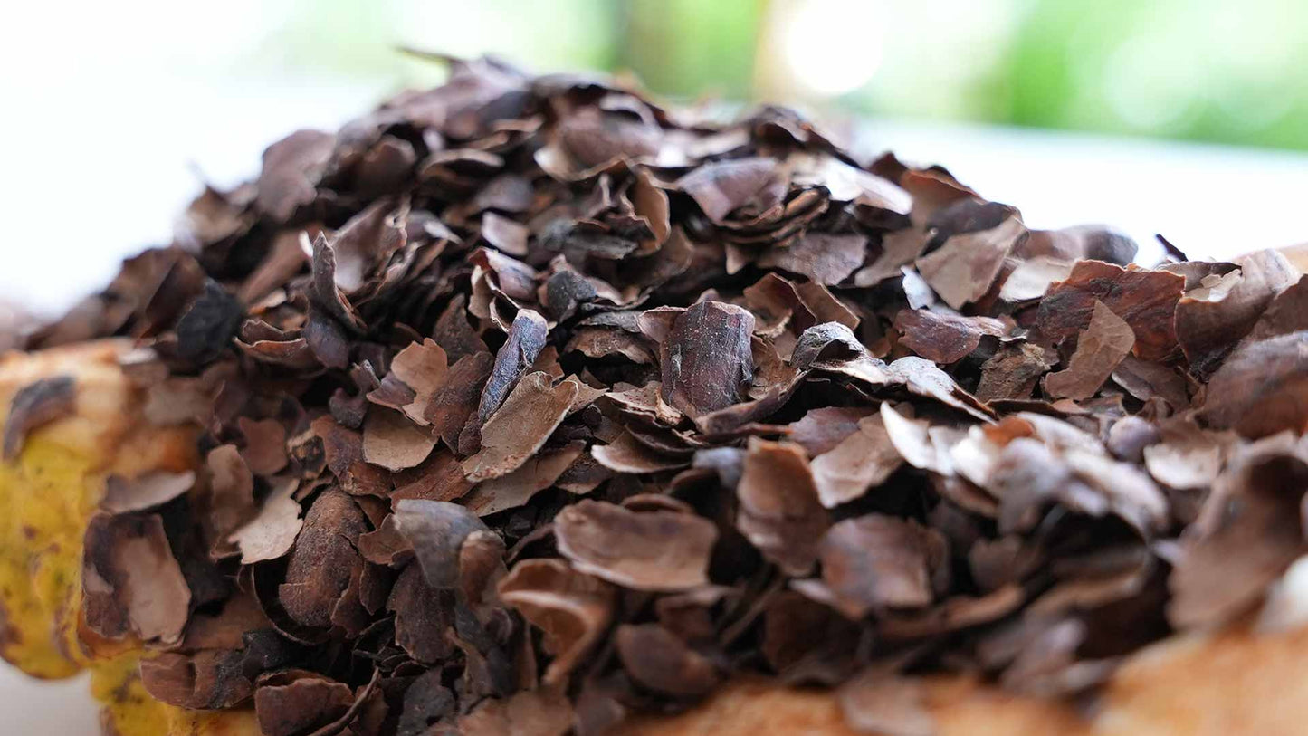 Cascara de cacao