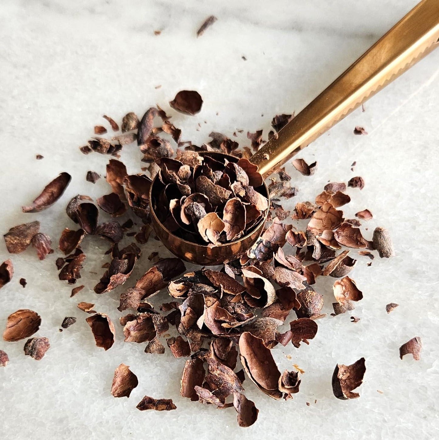 Cascara de cacao