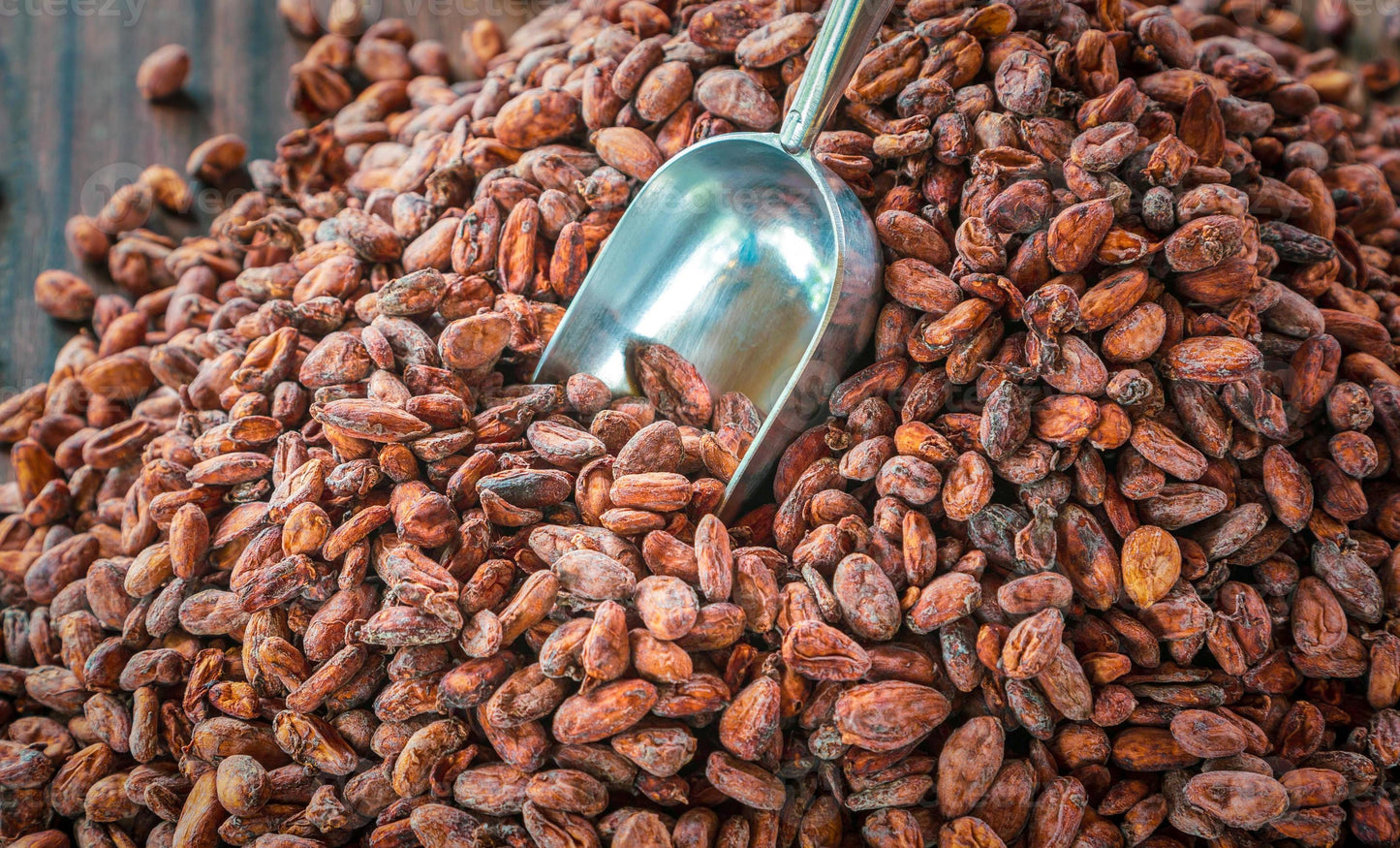 Granos de cacao